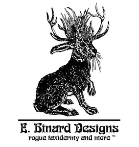 Ebinard Designs