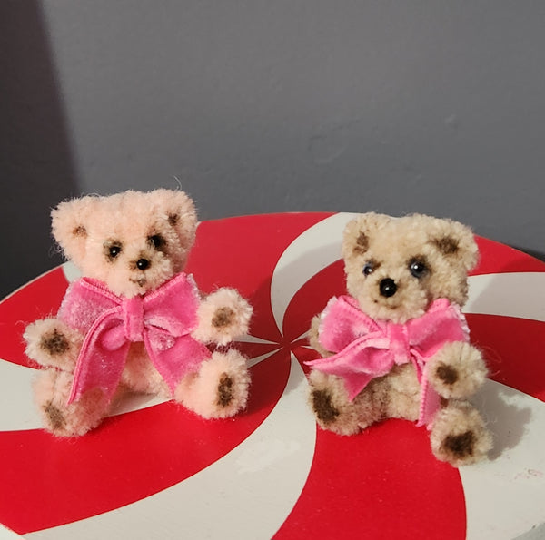 Tiny teddy