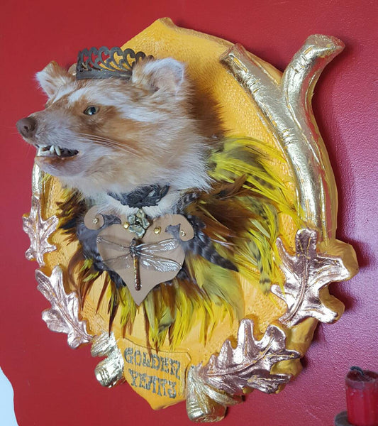 Golden Years - large golden taxidermy raccoon head