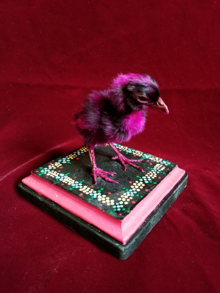 Blacklight reactive baby chick mount