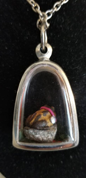 World's tiniest hypno toad terrarium pendant