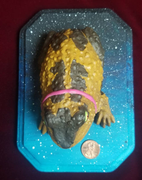 Medium size hypnotoad replica